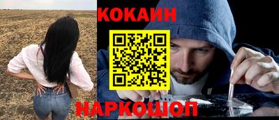jwh Кинель