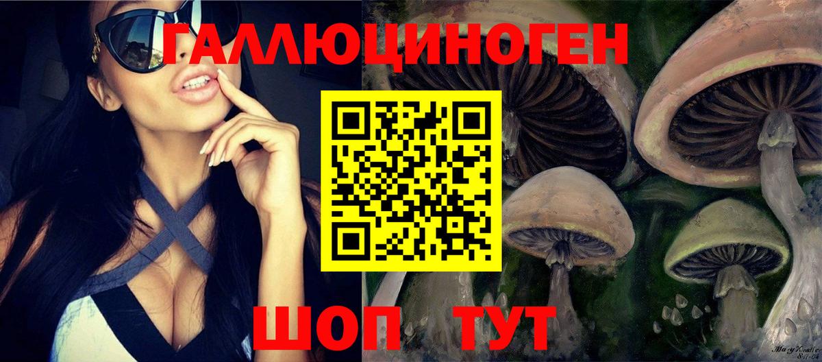 Псилоцибиновые грибы MAGIC MUSHROOMS Лобня