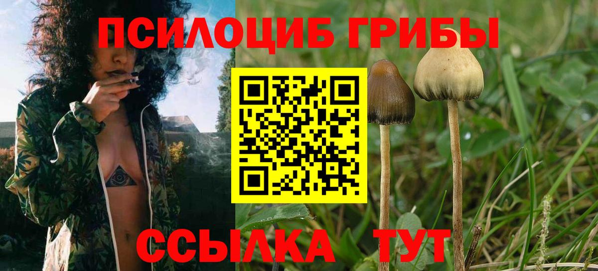 дарнет шоп  Галлюциногенные грибы мицелий  Вход с VPN  Галлюциногенные грибы Psilocybine cubensis  Лобня 